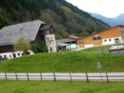 Die Stallungen am Hof  der Familie Danklmayer.